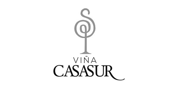 VIÑA CASA SUR